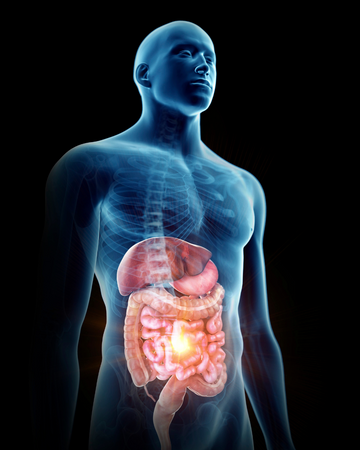 Gut Health and Performance: The Surprising Link