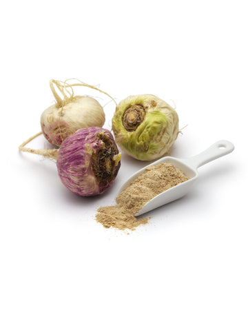 Yellow Maca, Black Maca, Red Maca.  What Type of Maca Is Right for You?