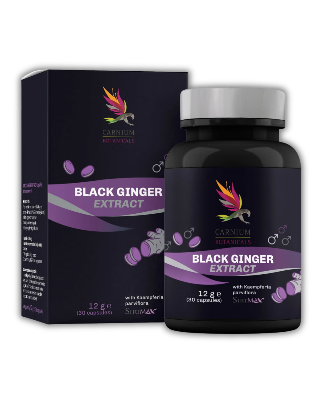 Black Ginger Extract bottle and packaging with Carnium Botanicals branding on a white background