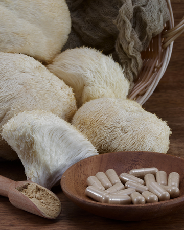 Lion’s Mane: The Natural Mushroom for Focus, Memory, and Healthy Ageing